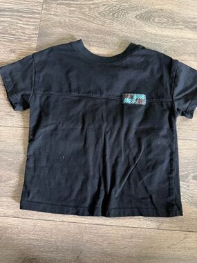 Sz 3t toddler dinosaur top